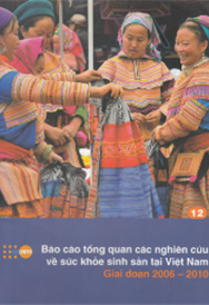 Báo cáo tổng quan các nghiên cứu về sức khoẻ sinh sản tại Việt Nam  giai đoạn 2006 - 2010